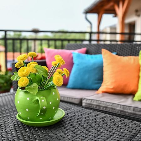 E-Vasko Panzio Borpince Bed & Breakfast โทไก ภายนอก รูปภาพ