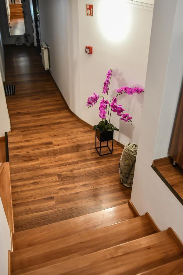 E-Vasko Panzio Borpince Bed & Breakfast โทไก ภายนอก รูปภาพ