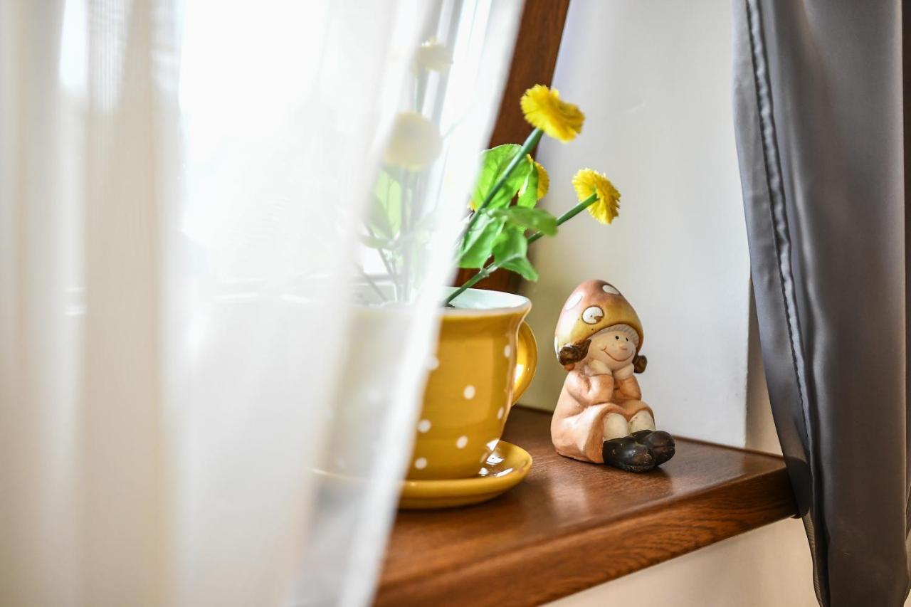 E-Vasko Panzio Borpince Bed & Breakfast โทไก ภายนอก รูปภาพ