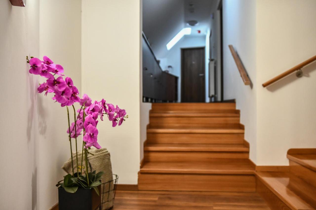 E-Vasko Panzio Borpince Bed & Breakfast โทไก ภายนอก รูปภาพ